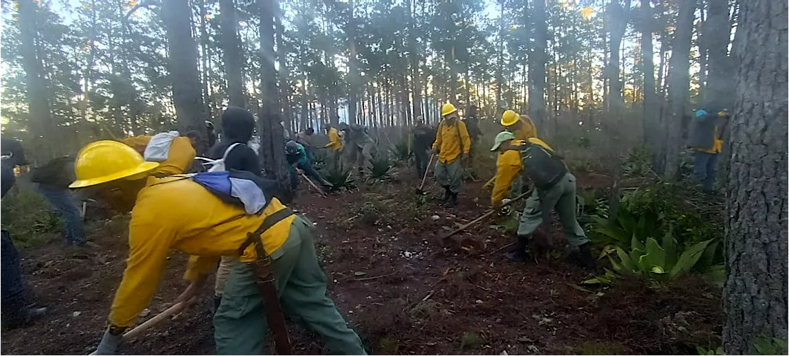 Foto 1. Bomberos forestales sofocaron 11 incendios